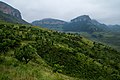 paysage verdoyant en été