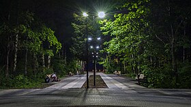 Центральная аллея в парке «Дубки» в Нижнем Новгороде