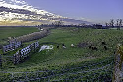 Buitenzijde van de 12e eeuwse dijk bij Nieuwland