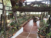 Vivero de orquídeas de Margaret Mee del Jardín Botánico de Brasilia