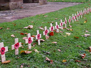 Remembrance Sunday - crosses in church yard
