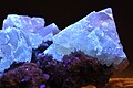 Scheelit unter UV-Licht blau fluoreszierend