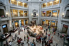 The Smithsonian Museum of Natural History was the most visited museum in the U.S. in 2022, with 3.9 million visits. Smithsonian Institution National Museum of Natural History (7508870948).jpg