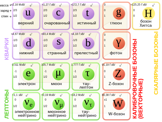 Эту загадку решал Шива - Страница 5 553px-Standard_Model_of_Elementary_Particles_ru.svg