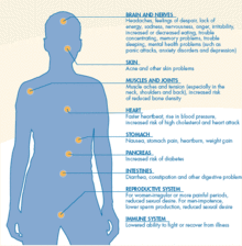 The physiological effects of stress on the body Stress 2.gif