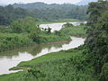 Perak River seen from the North–South Expressway Northern Route