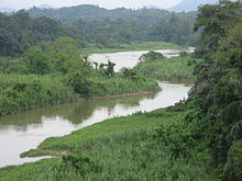 Eine grün bewachsene Landschaft mit Wald ist hier zu sehen. Es schlängelt sich mittig ein schlammig brauner Fluss durch das Bild.