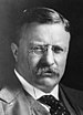 TheodoreRoosevelt(cropped).jpg