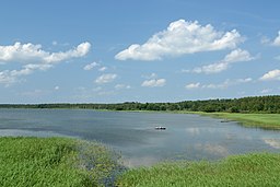 Õisu järv.