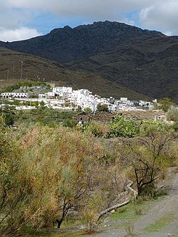 View of Velefique