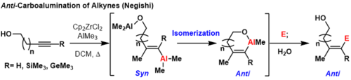 Anti-karboaluminace alkynů