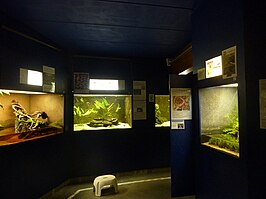 Openbaar Aquarium van Brussel