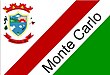 Vlag van Monte Carlo