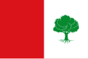 El Peral - Bandera