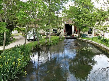 Bras de la Lizonne au lieu-dit le Moulin Mondot.