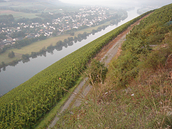 Brauneberg Mosel.png