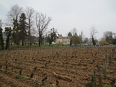 Vignoble du château
