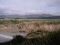 Veduta del torrente Cigno, con i suoi vasconi, a circa 3 km (in linea d'aria) prima della sua affluenza nel Biferno.