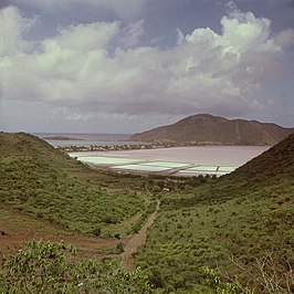 Great Salt Pond