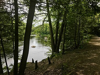 Farmington River Bank And River Road In Nepaug State Forest.