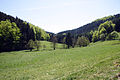 Hoppecketal oberhalb von Hoppern 30. April 2007