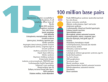 Lidský chromozom 15 z Gene Gateway - s label.png