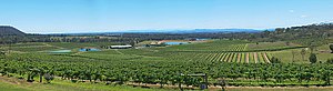 Hunter Valley Panorama, mfunnell, stitched fro...