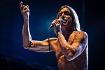 Miniatuur voor Iggy Pop