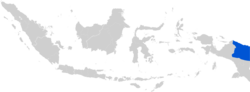 Miniatura para Diócesis de Jayapura