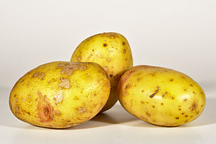 Pommes de terre de variété 'King Edward', ou 'Œil de perdrix'. (définition réelle 2 837 × 1 894)