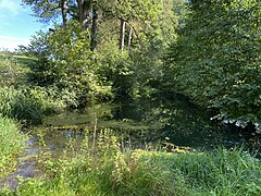 Straßweger Bach speist Teich bei Kotthausen