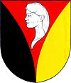 Coat of arms of Litohlavy