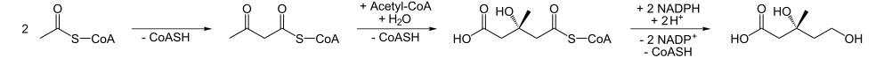 Biosynthese von Mevalonsäure.