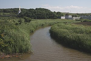 望来川 2012年8月14日撮影