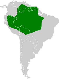 Distribución geográfica del fiofío gris amazónico.