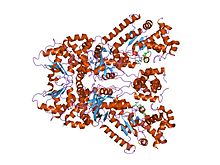 PDB 1pwq EBI.jpg