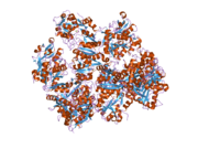 2o7u​: Kristalna struktura -{K206E/K296E}- mutanta