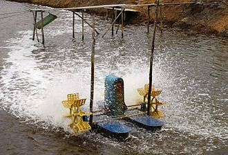 A paddle wheel aereator used in an Indonesian shrimp pond Paddlewheel aerator.jpg