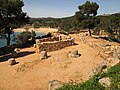 Poblat ibèric de Castell (Palamós)