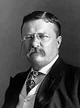 Black-and-white photographic portrait of Theodore Roosevelt