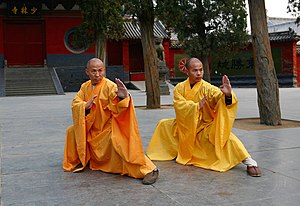 Shi Deru and his Shaolin brother Shi Deyang, wearing traditional orange monk robes, pose in modified horse stance in front of the Shaolin Temple.