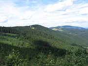 Stożek Wielki (Beskid Śląski)