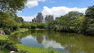 Taipei Daan Park - Ecological Pool - 20180805 - 02.jpg