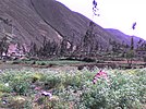Провинция Тарма, Перу - Panoramio - Tours Centro Peru (1) .jpg