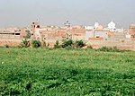 The Indus Valley Civilization Mound