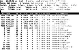 Скриншот программы top