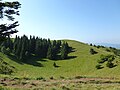 Une vue du Sancy depuis le Puy de Côme