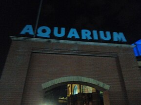 visit to the Two Ocenas Aquarium