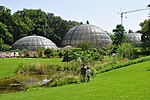 Miniatura para Jardín botánico de Zúrich