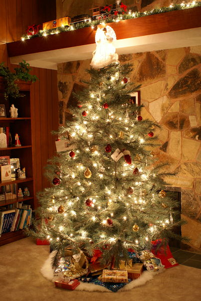 Christmas tree (Wikimedia Commons)